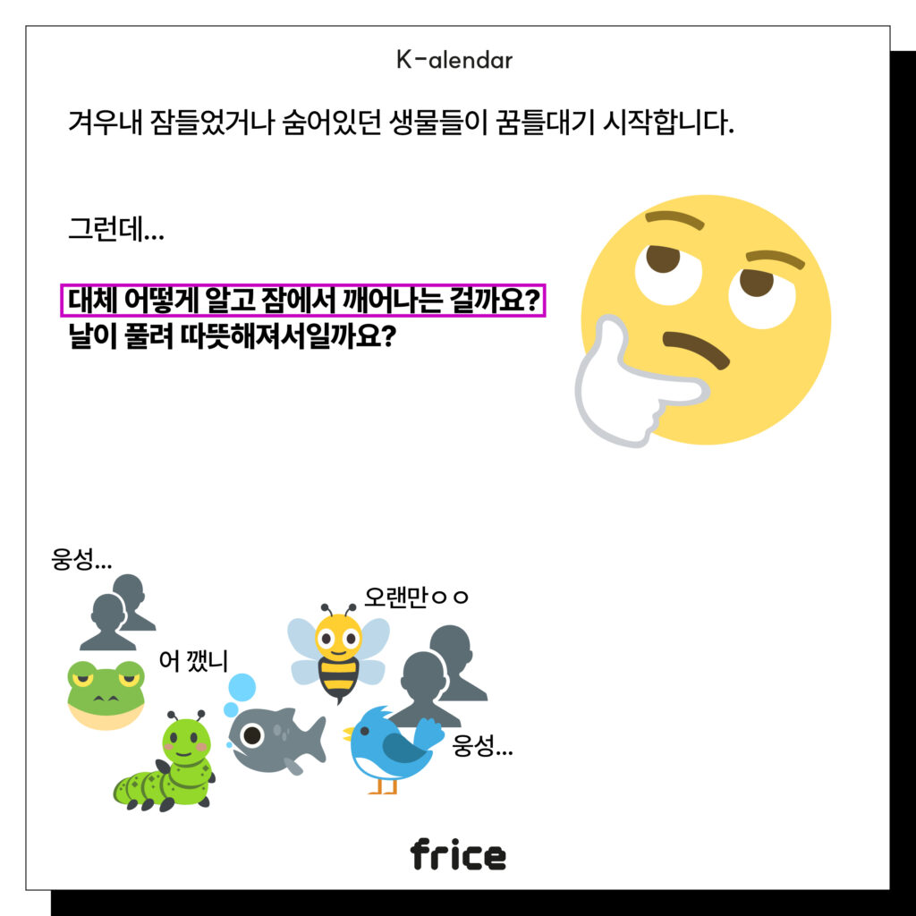 겨우내 잠들었거나 숨어있던 생물들이 꿈틀대기 시작합니다.
그런데...
대체 어떻게 알고 잠에서 깨어나는 걸까요?
날이 풀려 따뜻해져서일까요?
(동물이 모여 수근대는 일러스트) 배경에 제시