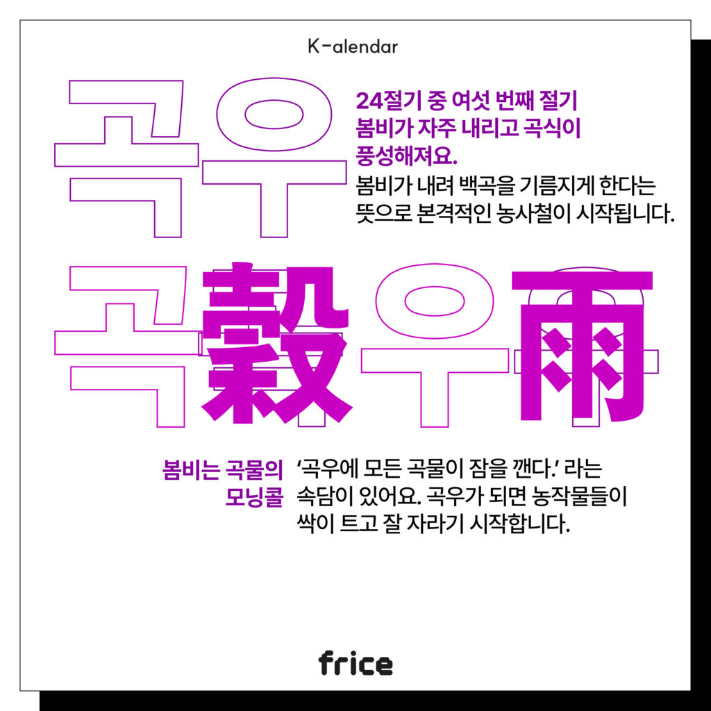 곡우
24절기 중 여섯 번째 절기
봄비가 자주 내리고 곡식이 풍성해져요.
봄비가 내려 백곡을 기름지게 한다는
뜻으로 본격적인 농사철이 시작됩니다. 
봄비는 곡물의
모닝콜
‘곡우에 모든 곡물이 잠을 깬다.’ 라는 속담이 있어요. 곡우가 되면 농작물들이 싹이 트고 잘 자라기 시작합니다.