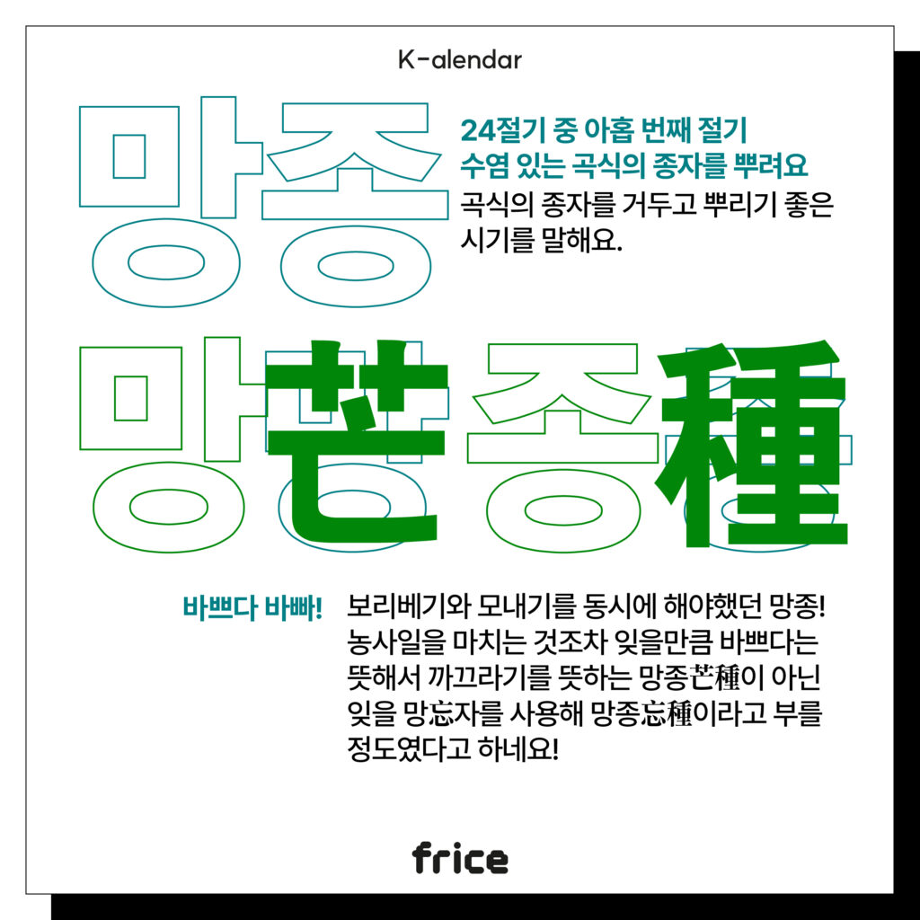 망종
24절기 중 아홉 번째 절기
수염 있는 곡식의 종자를 뿌려요
곡식의 종자를 거두고 뿌리기 좋은
시기를 말해요.
바쁘다 바빠!
보리베기와 모내기를 동시에 해야했던 망종! 농사일을 마치는 것조차 잊을만큼 바쁘다는 뜻해서 까끄라기를 뜻하는 망종芒種이 아닌 잊을 망忘자를 사용해 망종忘種이라고 부를 정도였다고 하네요! 
