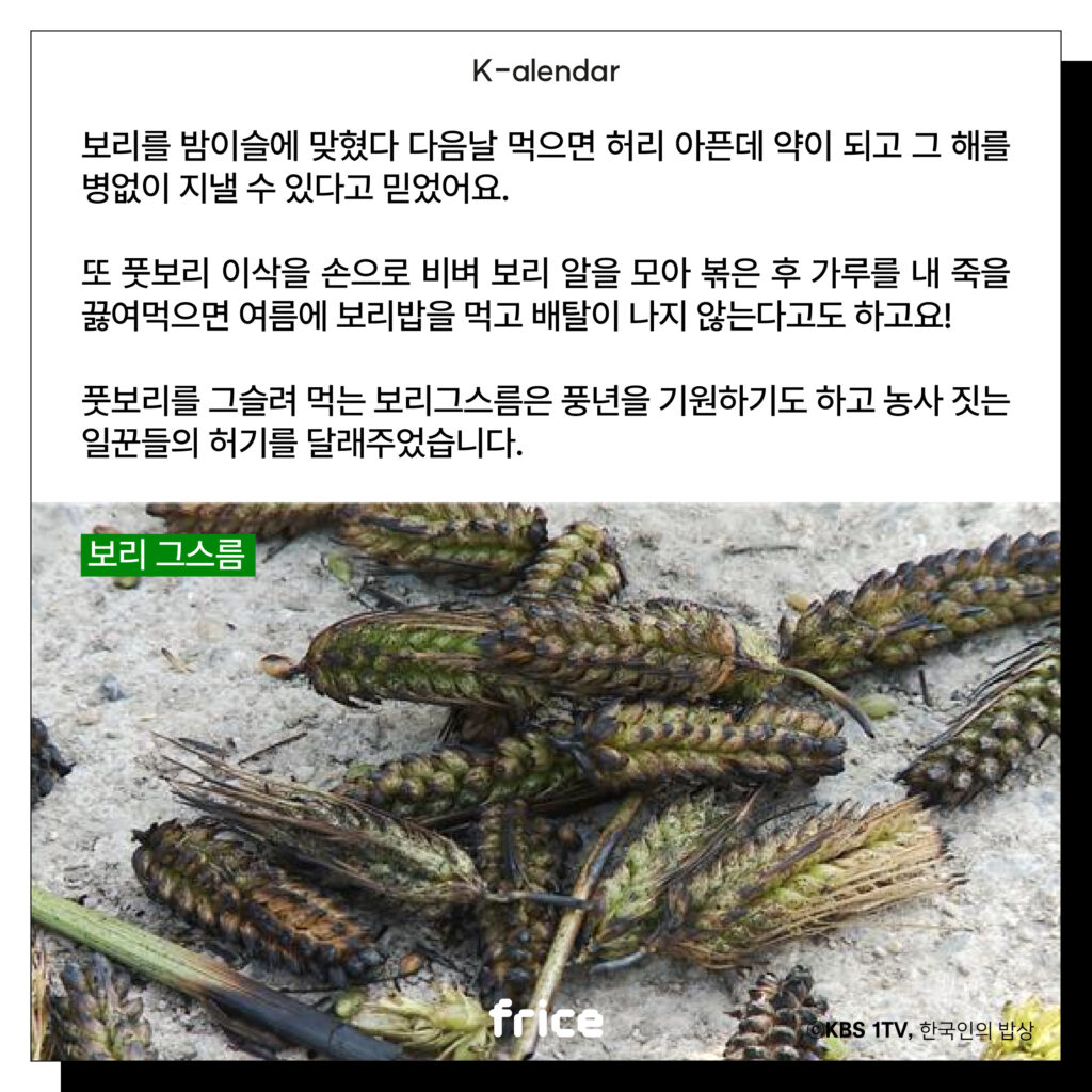 보리를 밤이슬에 맞혔다 다음날 먹으면 허리 아픈데 약이 되고 그 해를 병없이 지낼 수 있다고 믿었어요.
또 풋보리 이삭을 손으로 비벼 보리 알을 모아 볶은 후 가루를 내 죽을 끓여먹으면 여름에 보리밥을 먹고 배탈이 나지 않는다고도 하고요!
풋보리를 그슬려 먹는 보리그스름은 풍년을 기원하기도 하고 농사 짓는 일꾼들의 허기를 달래주었습니다.
(음식문화 다큐멘터리 프로그램에 자료화면으로 등장한 '보리 그스름' 사진)(C)KBS 1TV, 한국인의 밥상
