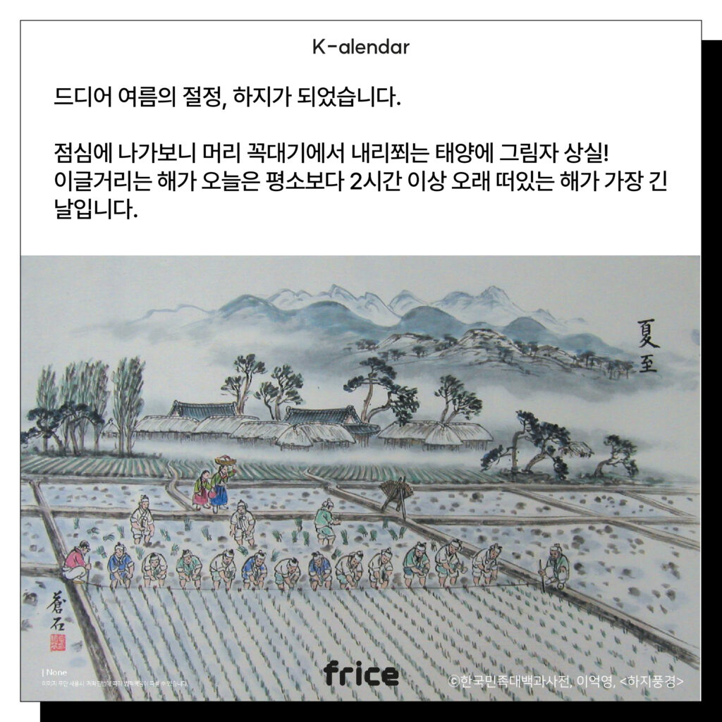 (하지에 농사짓는 모습을 배경으로 씀) (C)한국민족대백과사전
드디어 여름의 절정, 하지가 되었습니다.
점심에 나가보니 머리 꼭대기에서 내리쬐는 태양에 그림자 상실! 
이글거리는 해가 오늘은 평소보다 2시간 이상 오래 떠있는 해가 가장 긴 날입니다.