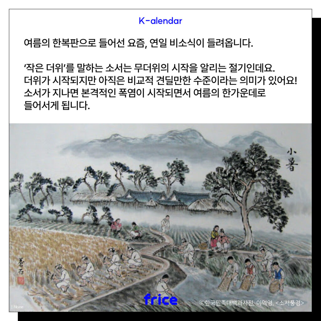 여름의 한복판으로 들어선 요즘, 연일 비소식이 들여옵니다.
'작은 더위'를 말하는 소서는 무더위의 시작을 알리는 절기인데요.
더위가 시작되지만 아직은 비교적 견딜만한 수준이라는 의미가 있어요!
소서가 지나면 본격적인 폭염이 시작디면서 여름의 한가운데로 들어서게 됩니다.
(소서에에 농사짓는 모습 풍속화 (C)한국민족대백과사전)