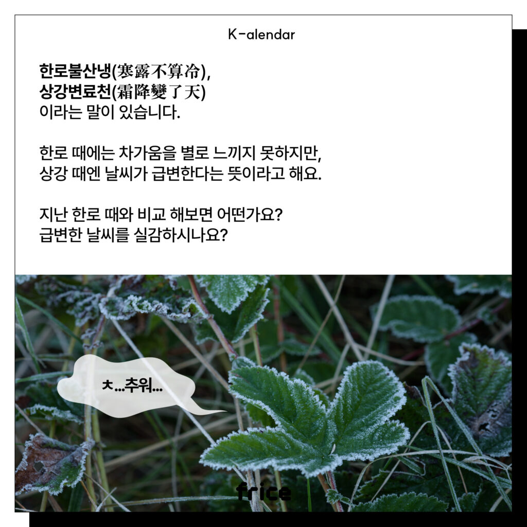 한로불산냉(寒露不算冷)，
상강변료천(霜降變了天)
이라는 말이 있습니다.
한로 때에는 차가움을 별로 느끼지 못하지만, 상강 때엔 날씨가 급변한다는 뜻이라고 해요.
지난 한로 때와 비교 해보면 어떤가요?
급변한 날씨를 실감하시나요?
(나뭇잎에 서리가 맺힌 사진)